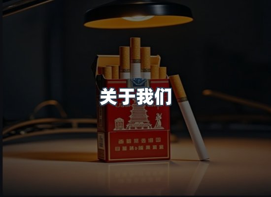 专业团队